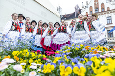 Rzeszowskie Juwenalia – studenckie serce Polski